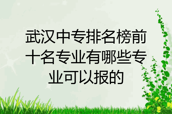 武汉中专排名榜前十名专业有哪些专业可以报的