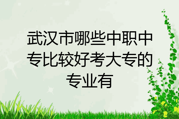 武汉市哪些中职中专比较好考大专的专业有