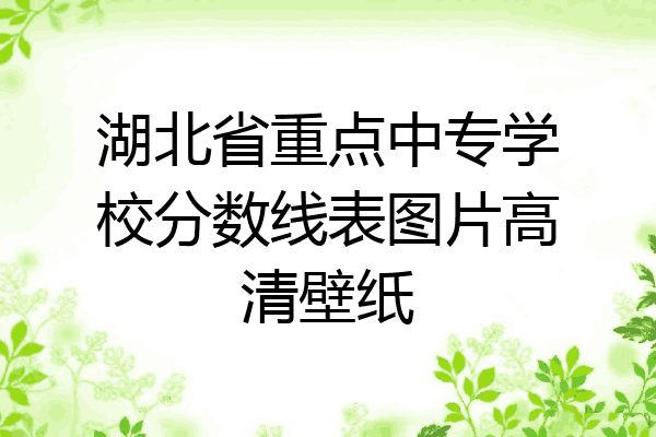 湖北省重点中专学校分数线表图片高清壁纸
