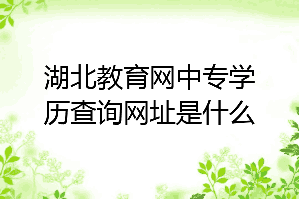 湖北教育网中专学历查询网址是什么