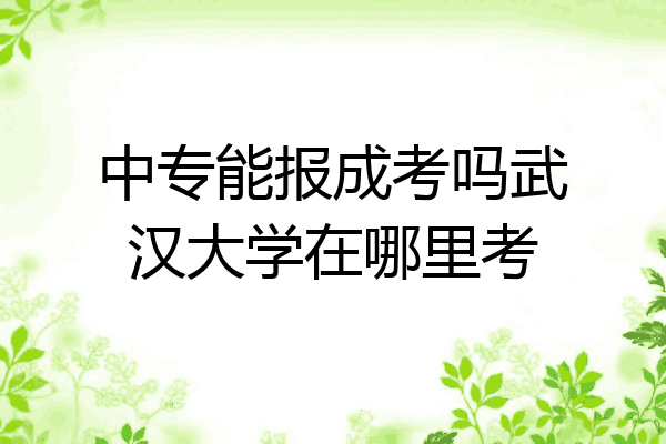 中专能报成考吗武汉大学在哪里考