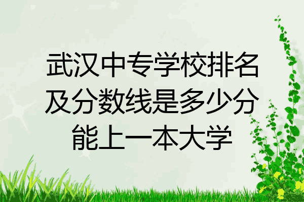 武汉中专学校排名及分数线是多少分能上一本大学