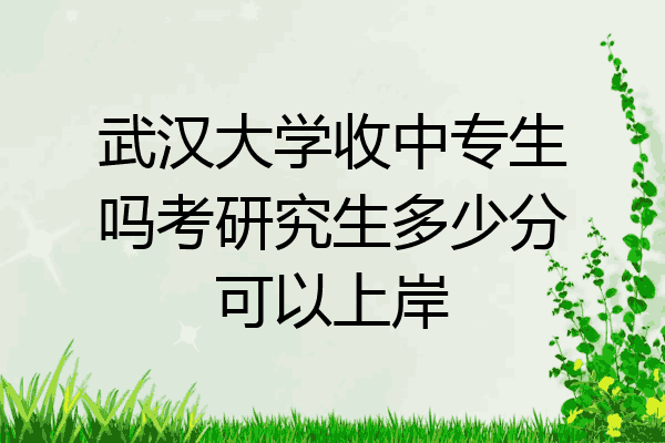 武汉大学收中专生吗考研究生多少分可以上岸