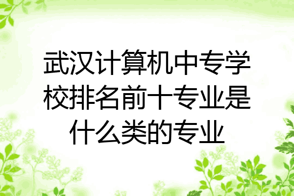 武汉计算机中专学校排名前十专业是什么类的专业