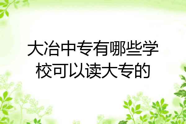 大冶中专有哪些学校可以读大专的