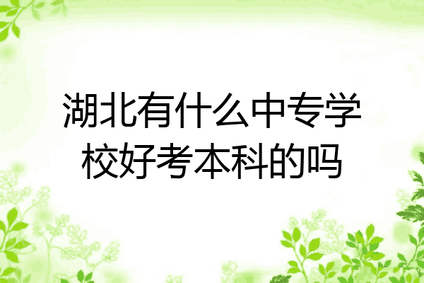 湖北有什么中专学校好考本科的吗