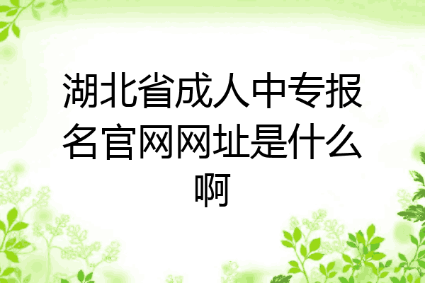 湖北省成人中专报名官网网址是什么啊