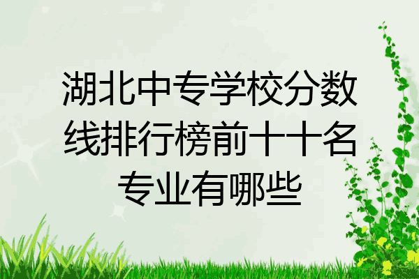 湖北中专学校分数线排行榜前十十名专业有哪些
