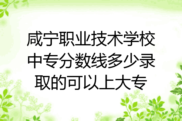 咸宁职业技术学校中专分数线多少录取的可以上大专