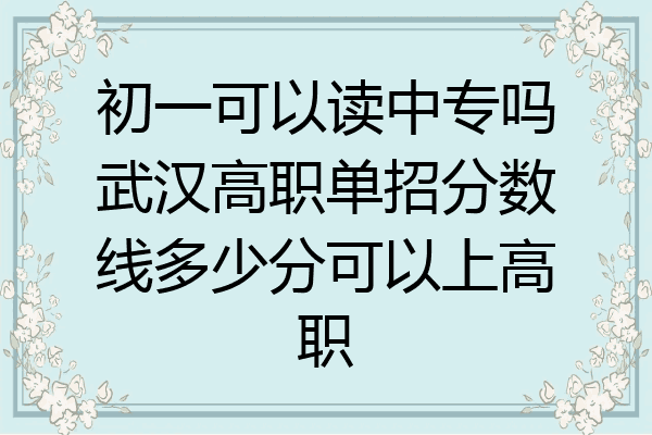 初一可以读中专吗武汉高职单招分数线多少分可以上高职