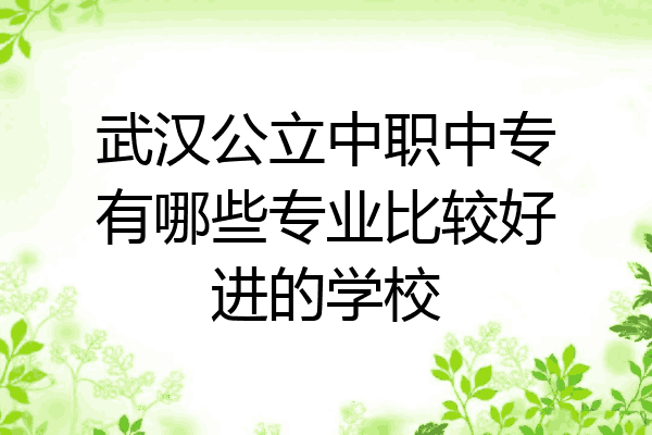 武汉公立中职中专有哪些专业比较好进的学校
