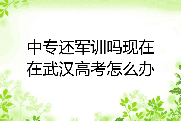 中专还军训吗现在在武汉高考怎么办