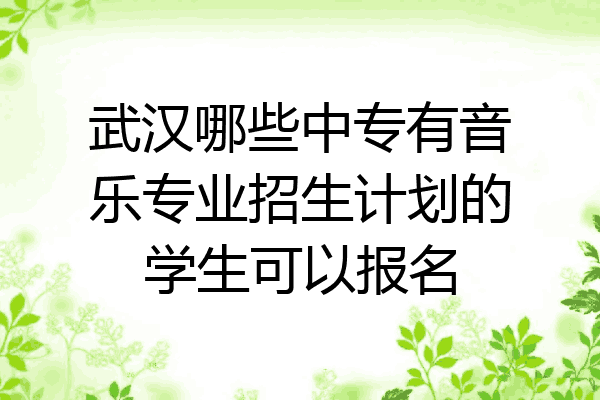 武汉哪些中专有音乐专业招生计划的学生可以报名