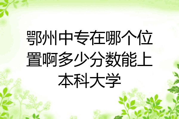 鄂州中专在哪个位置啊多少分数能上本科大学