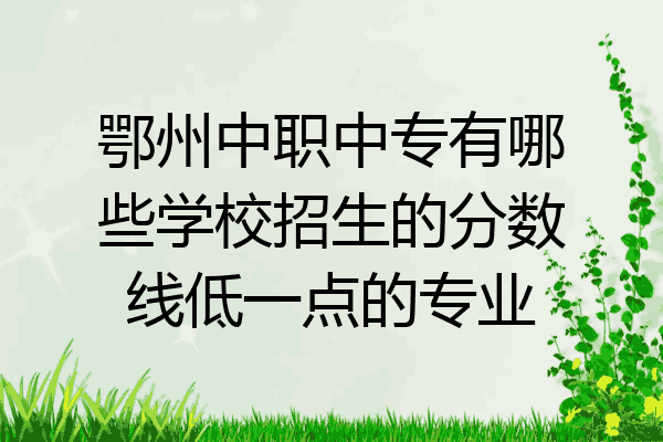 鄂州中职中专有哪些学校招生的分数线低一点的专业