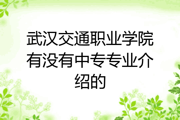 武汉交通职业学院有没有中专专业介绍的