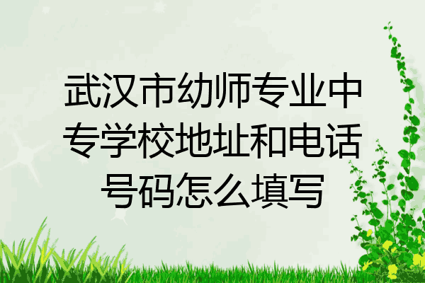 武汉市幼师专业中专学校地址和电话号码怎么填写