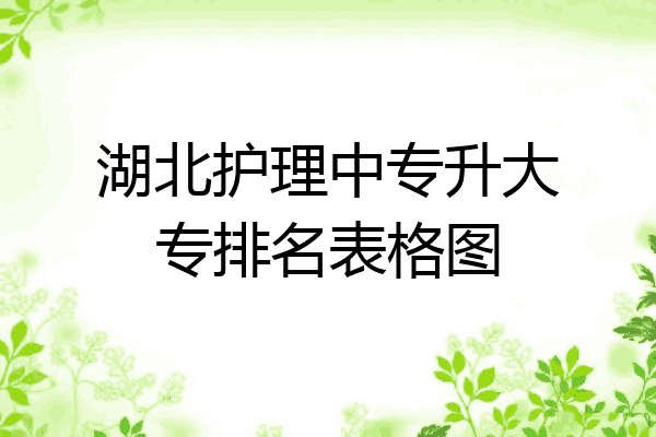 湖北护理中专升大专排名表格图