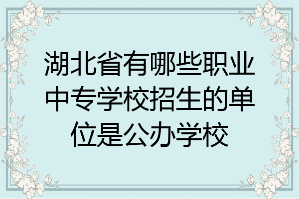 湖北省有哪些职业中专学校招生的单位是公办学校