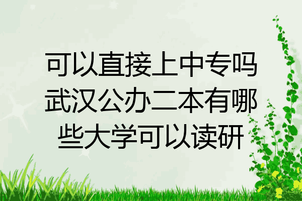 可以直接上中专吗武汉公办二本有哪些大学可以读研