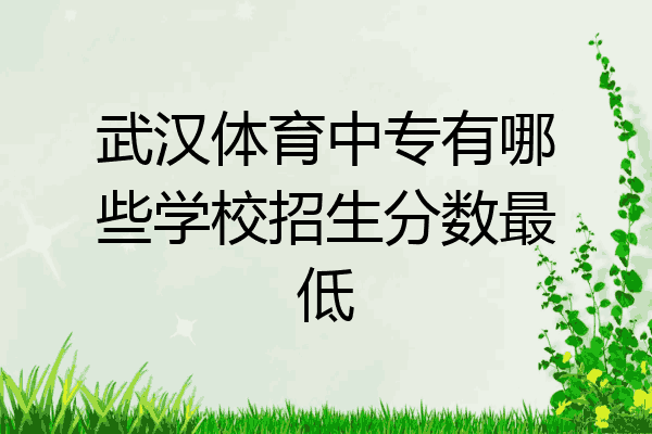 武汉体育中专有哪些学校招生分数最低