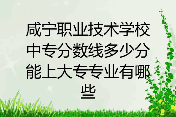 咸宁职业技术学校中专分数线多少分能上大专专业有哪些
