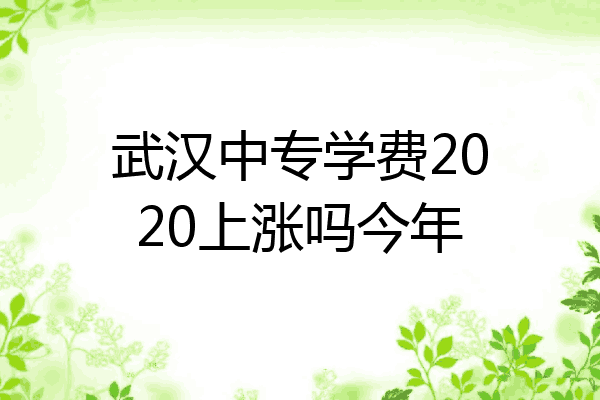 武汉中专学费2020上涨吗今年