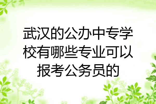 武汉的公办中专学校有哪些专业可以报考公务员的