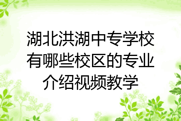 湖北洪湖中专学校有哪些校区的专业介绍视频教学