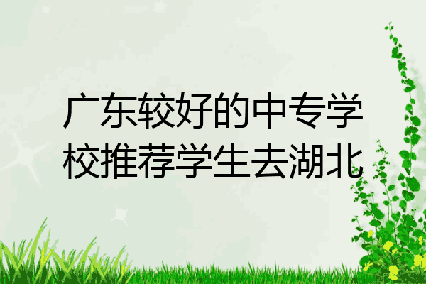 广东较好的中专学校推荐学生去湖北