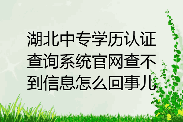 湖北中专学历认证查询系统官网查不到信息怎么回事儿