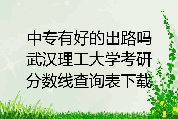 中专有好的出路吗武汉理工大学考研分数线查询表下载