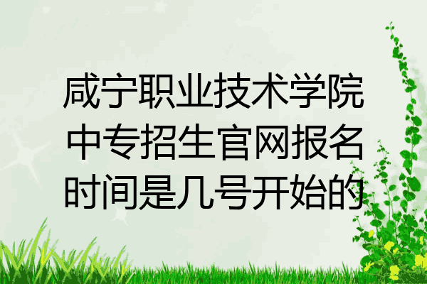 咸宁职业技术学院中专招生官网报名时间是几号开始的
