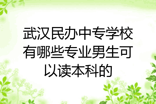 武汉民办中专学校有哪些专业男生可以读本科的