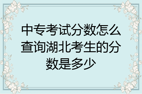 中专考试分数怎么查询湖北考生的分数是多少