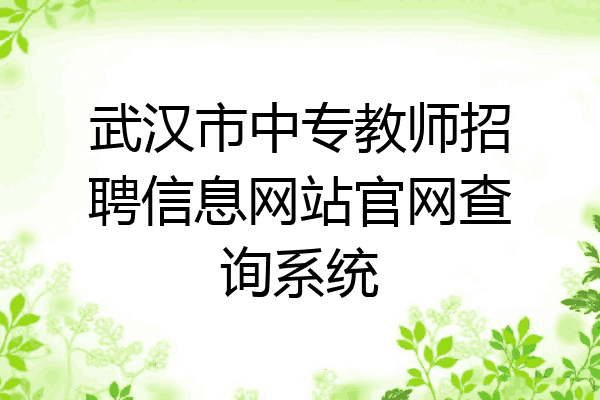 武汉市中专教师招聘信息网站官网查询系统