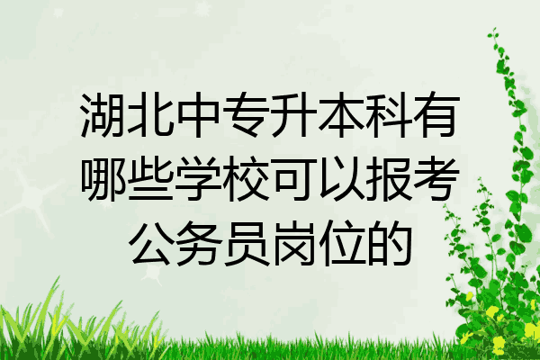 湖北中专升本科有哪些学校可以报考公务员岗位的