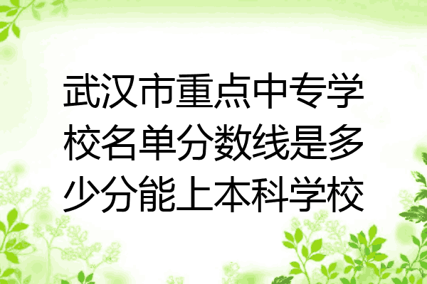 武汉市重点中专学校名单分数线是多少分能上本科学校