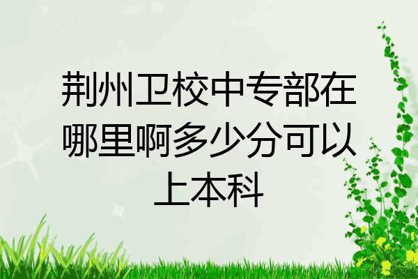 荆州卫校中专部在哪里啊多少分可以上本科