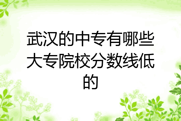 武汉的中专有哪些大专院校分数线低的
