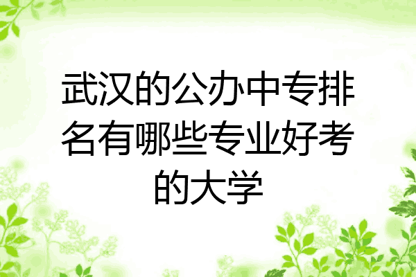 武汉的公办中专排名有哪些专业好考的大学