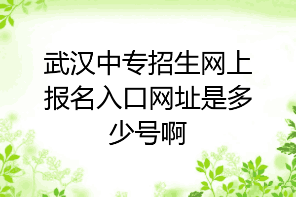 武汉中专招生网上报名入口网址是多少号啊