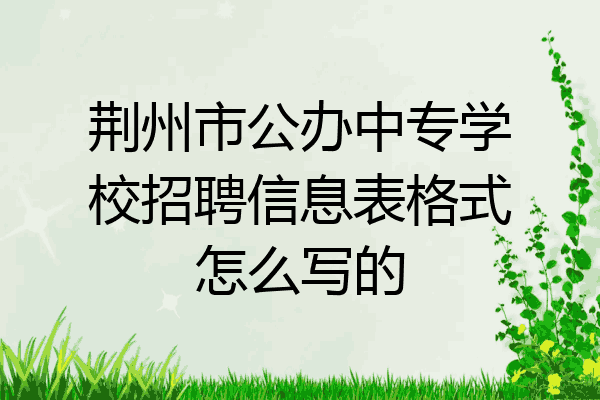 荆州市公办中专学校招聘信息表格式怎么写的