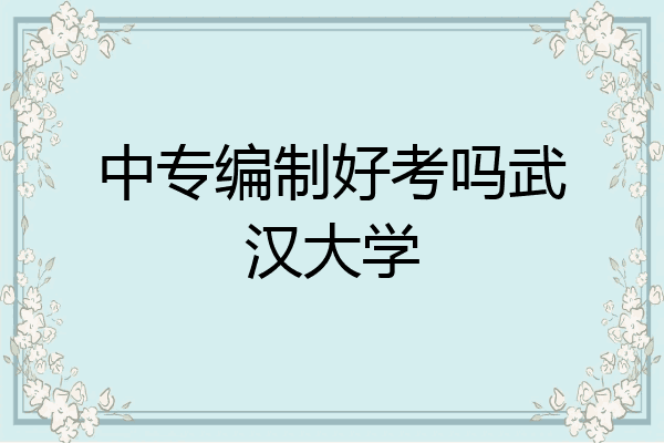 中专编制好考吗武汉大学