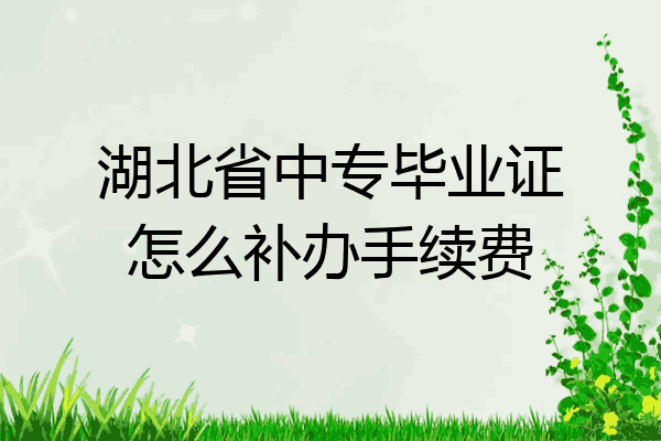 湖北省中专毕业证怎么补办手续费