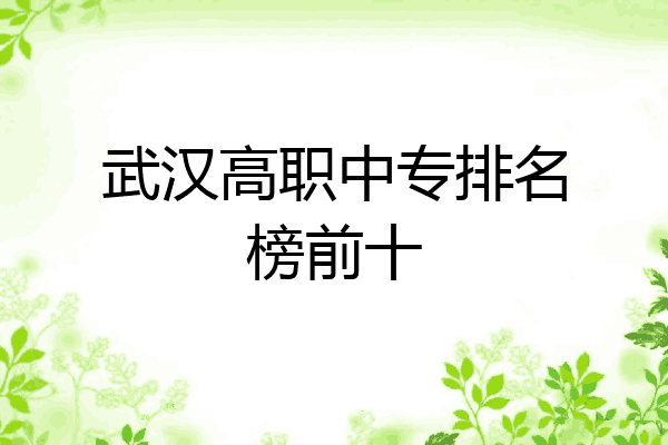 武汉高职中专排名榜前十
