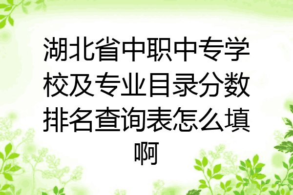 湖北省中职中专学校及专业目录分数排名查询表怎么填啊
