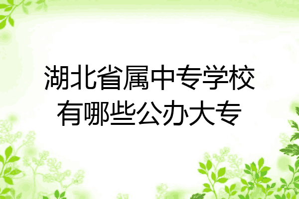 湖北省属中专学校有哪些公办大专