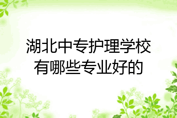湖北中专护理学校有哪些专业好的