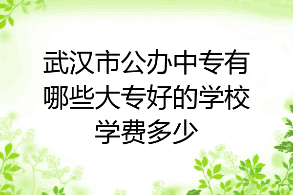 武汉市公办中专有哪些大专好的学校学费多少